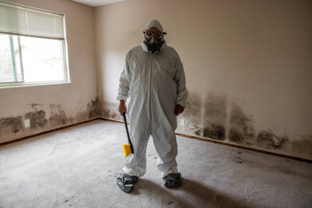 Crawl Space Mold Removal in Shoreline, WA